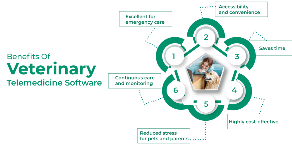 Benefits Of Veterinary Telemedicine Software 