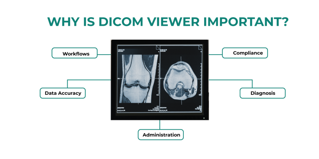 DICOM Viewer